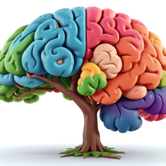 brain image brain image